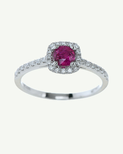 Anello Ardia